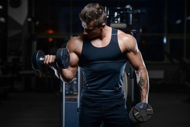 Studie zeigt: Steroide verbessern Geschwindigkeit und Qualität der Muskelerholung beim Bodybuilding